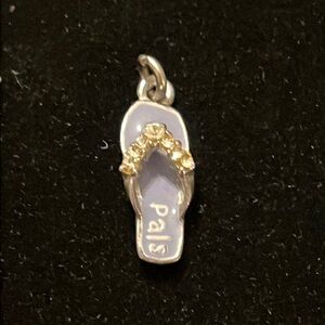 Pals Purple & Silver Charm